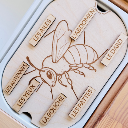 Petit insert en bois TROFAST L'anatomie de L'abeille