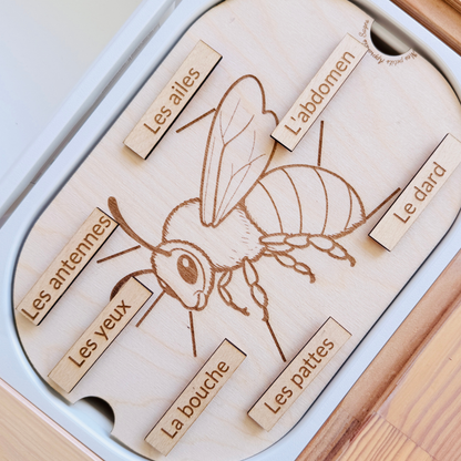 Petit insert en bois TROFAST L'anatomie de L'abeille