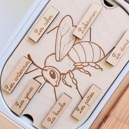 Petit insert en bois TROFAST L'anatomie de L'abeille