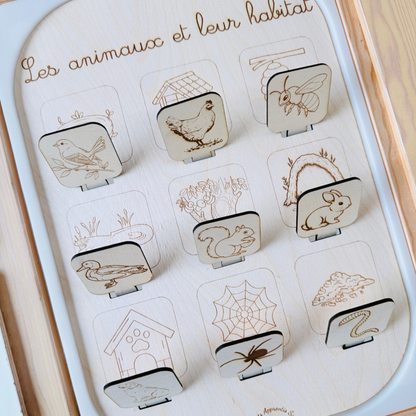 Grand insert TROFAST les animaux et leur habitat