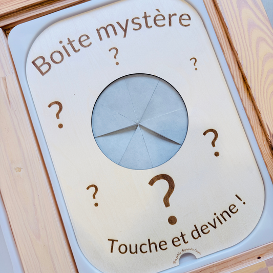 Grand insert en bois TROFAST Boite mystère