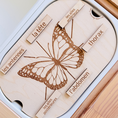 Petit insert en bois TROFAST L'anatomie du papillon