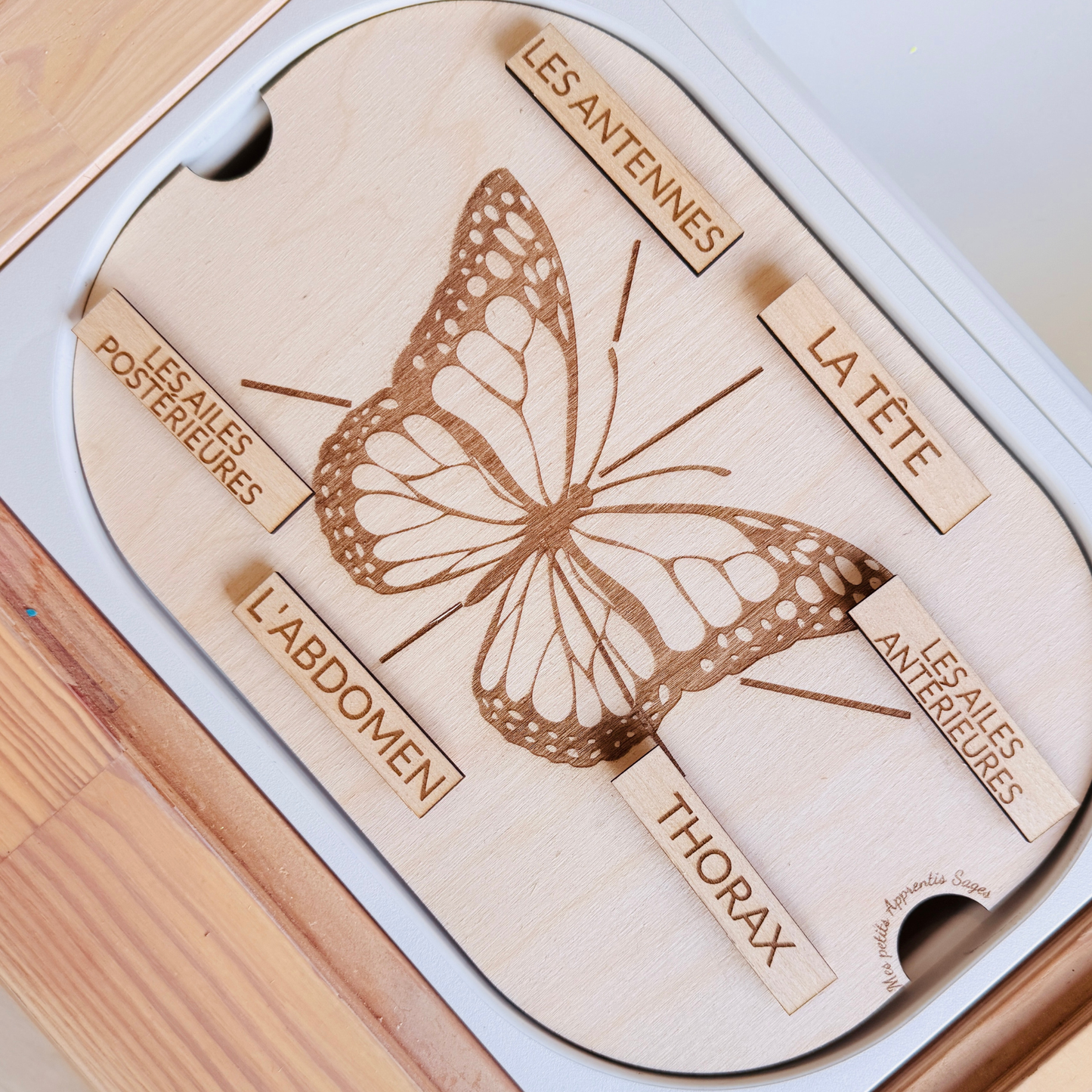 Petit insert en bois TROFAST L'anatomie du papillon