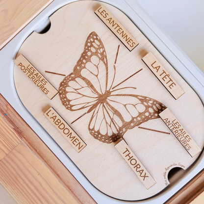 Petit insert en bois TROFAST L'anatomie du papillon