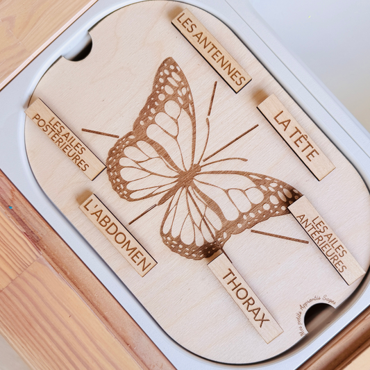 Petit insert en bois TROFAST L'anatomie du papillon