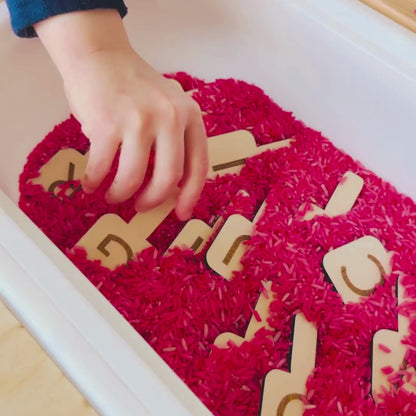 Grand insert en bois TROFAST J'apprends l'alphabet
